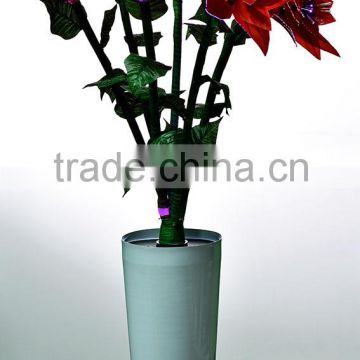 big red flowers with high base