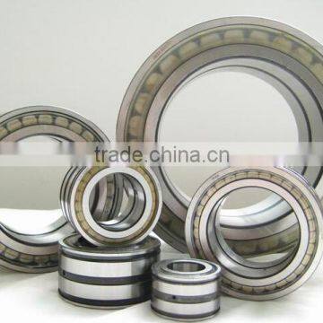 SL045012PP Double-Row Full Complement Cylindrical Roller Bearing SL045012 PP ,SL 04 5012 PPNR