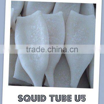 Frozen Squid tube sea food