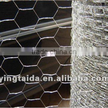 high quality chicken netting (factory)