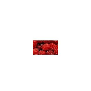red raspberry powder