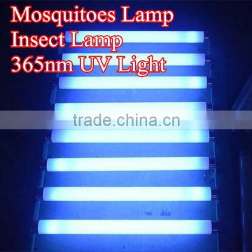 kill pest Mosquito lamp T8 10W15W20W G13 365nm Blue uv lamp tube