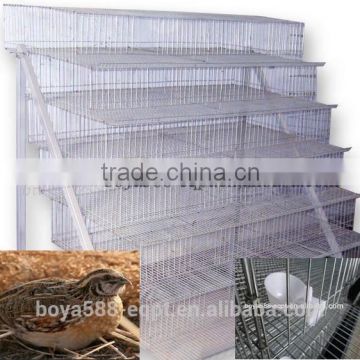 full automatic quail farming cages