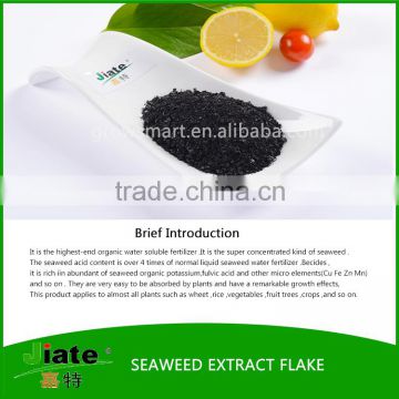 High quality agricultural seaweed fertilizer with low price