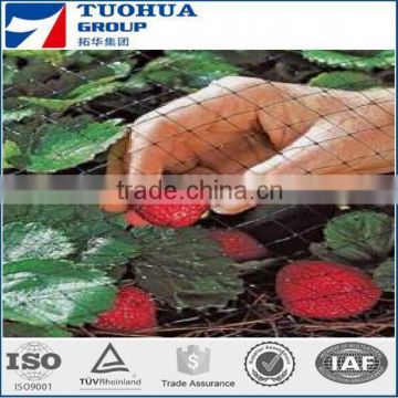 Tomato Support Net, Cucumber Climbing Support Net made in China
