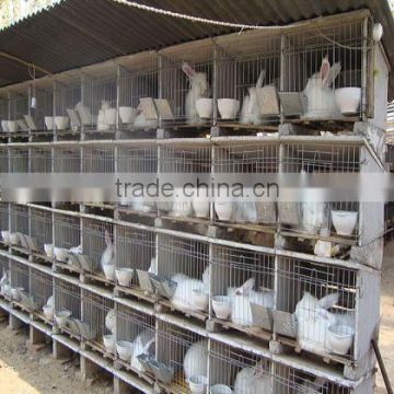 rabbits production cages