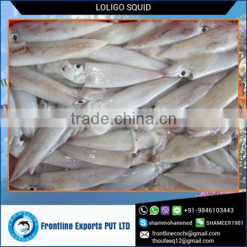 Precisely Cleaned Fresh Frozen Squid Whole at Industry Leading Price