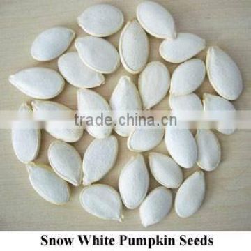 Online Shopping India Snow White Pumpkin Seeds, Pumpkin Seeds Price