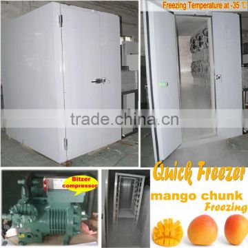 Quick freezer for 300kg mango chunks freezing