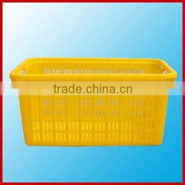 crate mould,mould,plastic mould1