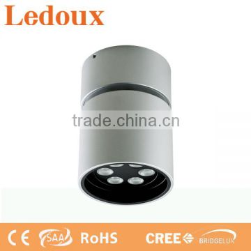 Surface Mounted 6W LED Ceiling Light