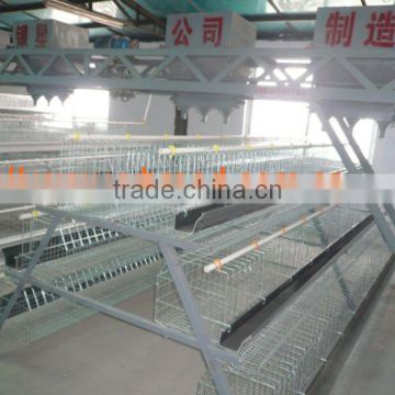 automatic battery layer cage for Nigerian/African poultry farm