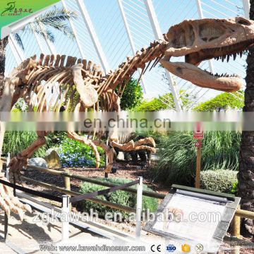 KAWAH Life Size Dinosaur Skeleton Real Fiberglass Dinosaur Fossil Model For Sale