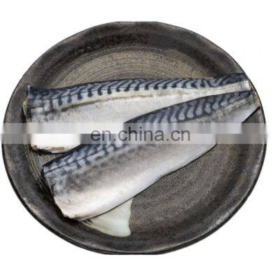 Good price frozen atlantic mackerel fish fillet