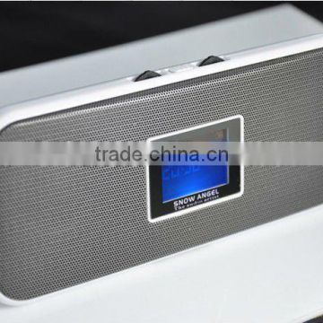 Fashion MP3 speaker (fm radio usb sd card reader mp3 mp4 speaker/usb mp3 player speaker/mp3 mini speaker)