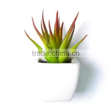 Decorative Green Artificial Succulent Plant with white pot