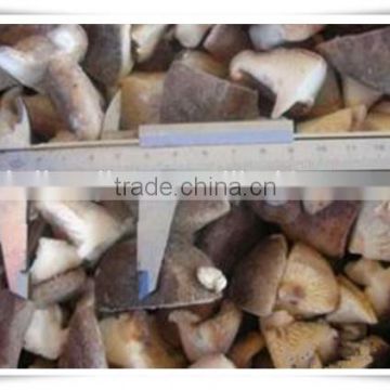 without preservative /china frozen food mushroom