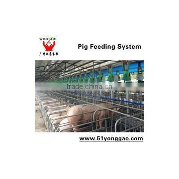Wincore Automatic pig feeding system