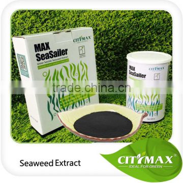 Super Fine Seaweed Extract Powder