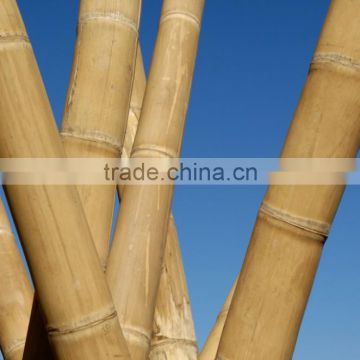 Factory Direct Suppling Popular Decorate Garden Nature Eco-friendly Rolled threaded bamboo fence