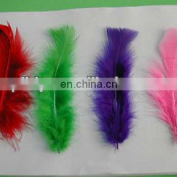 beautiful natural ostrich feather
