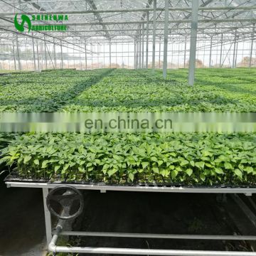 High Efficient Plant Nursery Malaysia Commercial Greenhouse