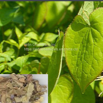 Natural 100% Pure Icariin Epimedium Extract/Epimedium Sagittatum Extract