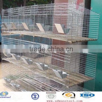welded rabbit cage /bird cage /chicken wire mesh