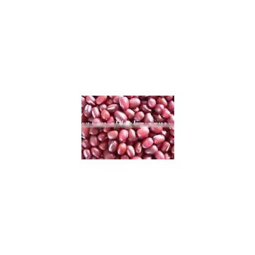 dark red Adzuki bean