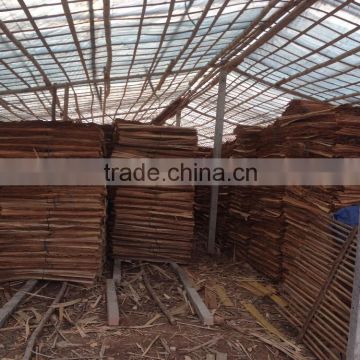 wholesale core veneer requested kinds of wood