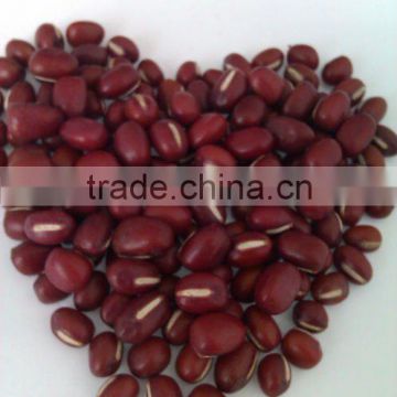 China Small Red Beans/adzuki bean( Heilongjiang origin, New crop,hps)