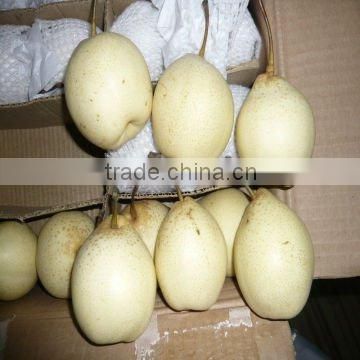ya pear in china