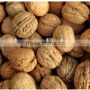 fruit buyer gmo walnuts in halves walnut light halves