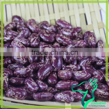 Chinese Dried Pinto Size Purple Speckled Kidney Beans