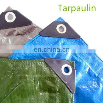 Laminated tarpaulin roll