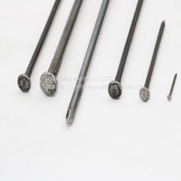 factory price common polished nails with big stock