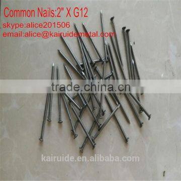 high qulity common iron nail/iron nail factory