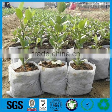 2016 Growing and Plant Cover Nonwoven felt