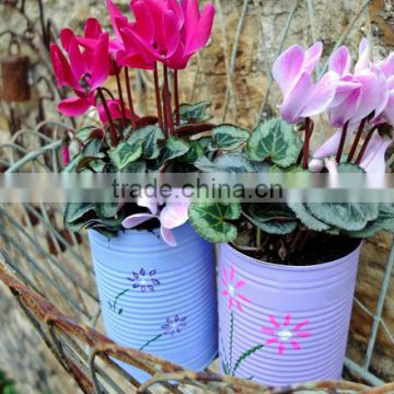 Hanging Powder Coated Planters | Garden Pots And Planters