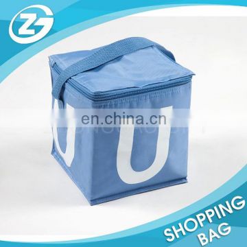 Wholesale Customer's Size and Logo Printing PEVA Liner Insulated Cooler Bags