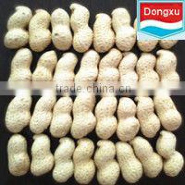 chinese high quality peanut in shell