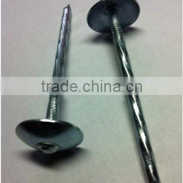 low price galvanized roofing nails