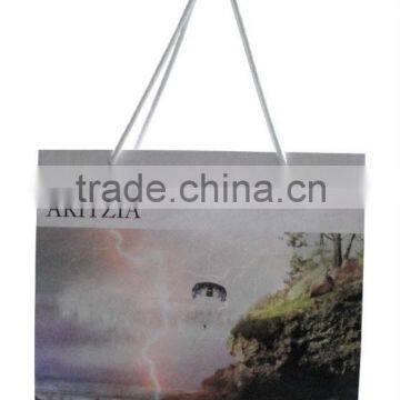 Colorful printed paper bag for shopping