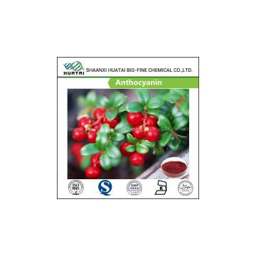 Weight Loss Powder Bilberry Extract 25% Anthocyanins With Best Price