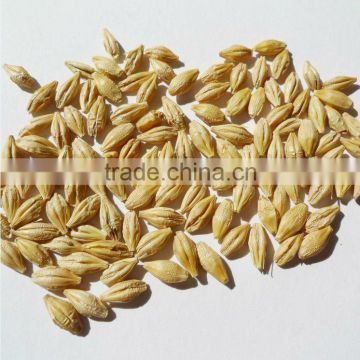 hulled barley