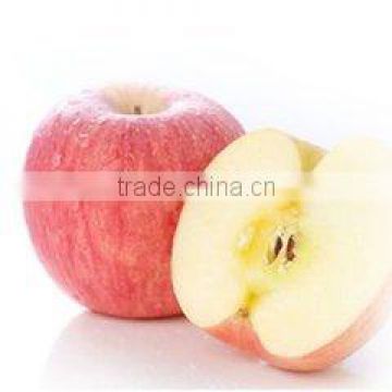 2016 blush fuji apple shipping for india market