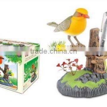 DD0401141Animated sound control battery operated singing bird