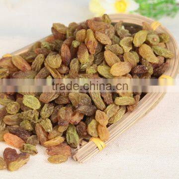 chinese green raisins xinjiang raisins dried grape