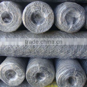 Hex wire mesh,hot dipped galvanized