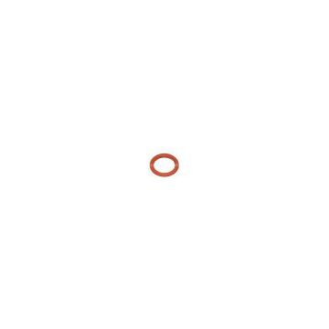 O-ring (Electric Water Heater,  Electric Car Accessories 002)